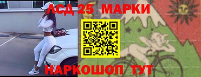 гидра Новозыбков