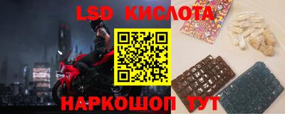 гидра Новозыбков