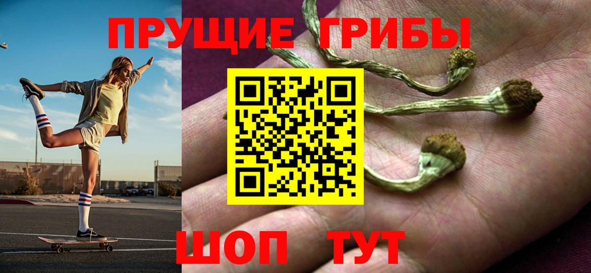 Псилоцибиновые грибы Psilocybe Холмск
