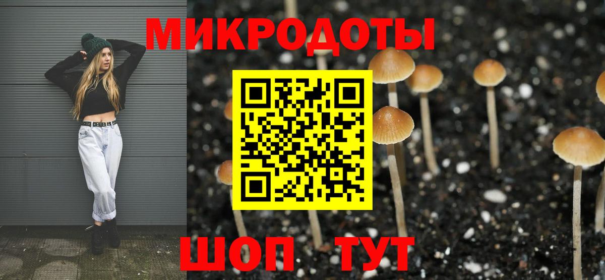 Галлюциногенные грибы Magic Shrooms  Вход с VPN  Холмск  Псилоцибиновые грибы MAGIC MUSHROOMS 